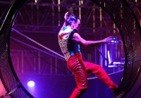 Australian Street Entertainment Carnival Photo From City of Gold Coast Website Australian Street Entertainment Carnival Photo From City of Gold Coast Website